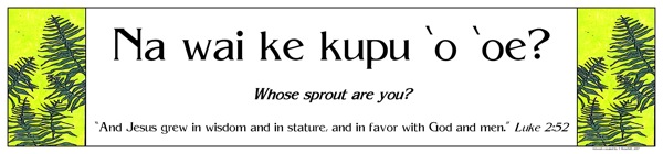 2nd grade kupukupu