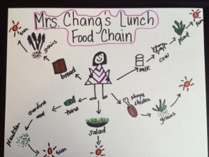 Lunch Food Chain