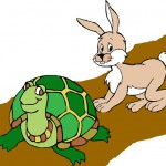 Turtle vs. Hare