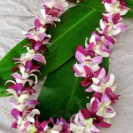Purple and white orchid lei
