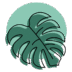 Ke Ko'i Lipi Technology Program