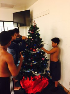 14.DecoratingXmas.KS