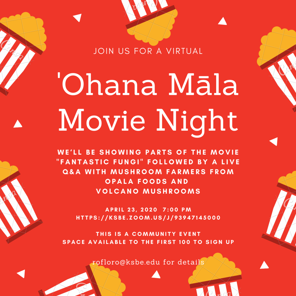 This image has an empty alt attribute; its file name is Ohana-Māla-Movie-Night.png