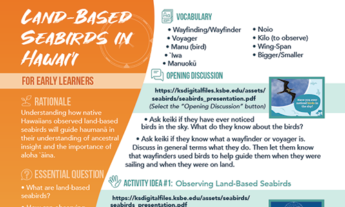 seabirds_lessonplan