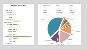 Student Demographics